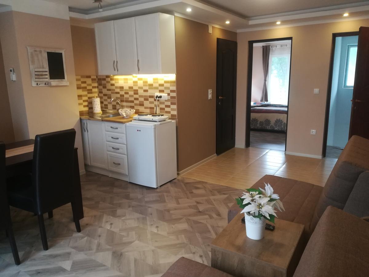 Apartman Bogic Golubac Luaran gambar